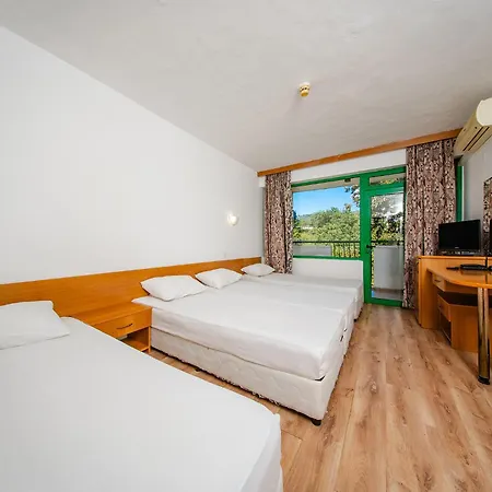 Zdravets 4* Złote Piaski
