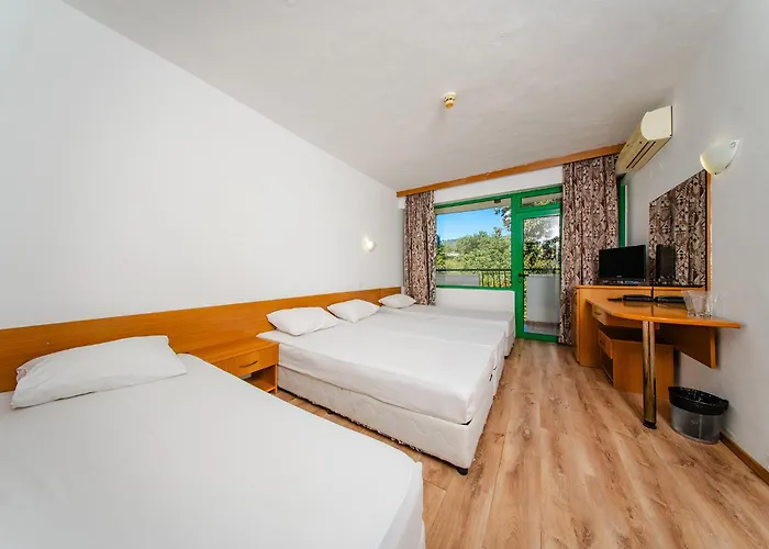 Zdravets 4* Nisipurile de Aur